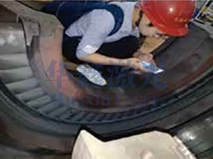 叶片修复前确认